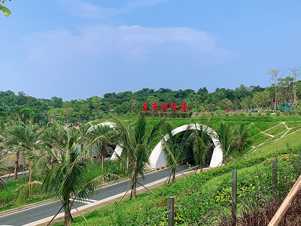 20260521125312.png WPS图片18.png