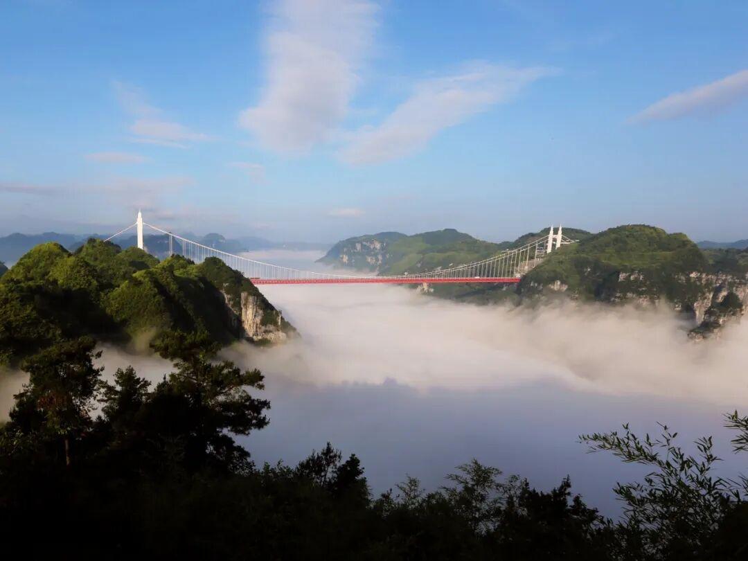 20260521521028.jpeg WPS图片1.jpeg